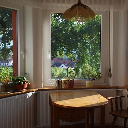 コンスタンツRotes Haus Ueber Den Weinbergenアパートメント エクステリア 写真